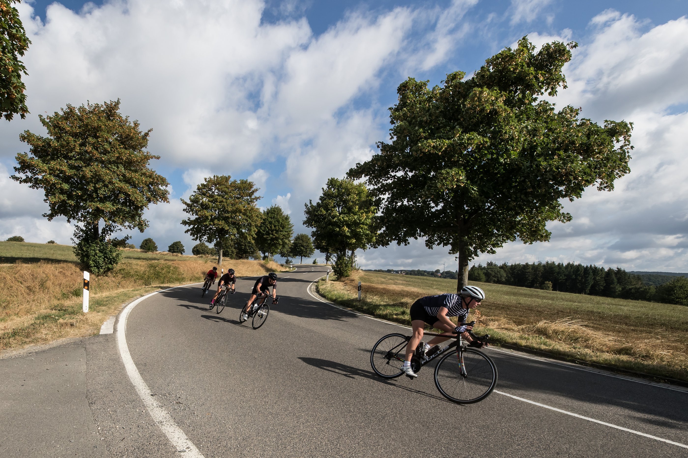Great Western Bicycle Co logo