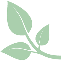 South Fraser Pregnancy Options Centre logo