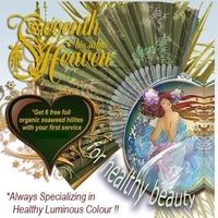 Seventh Heaven Hair Gallery & Bio Salon Ltd logo