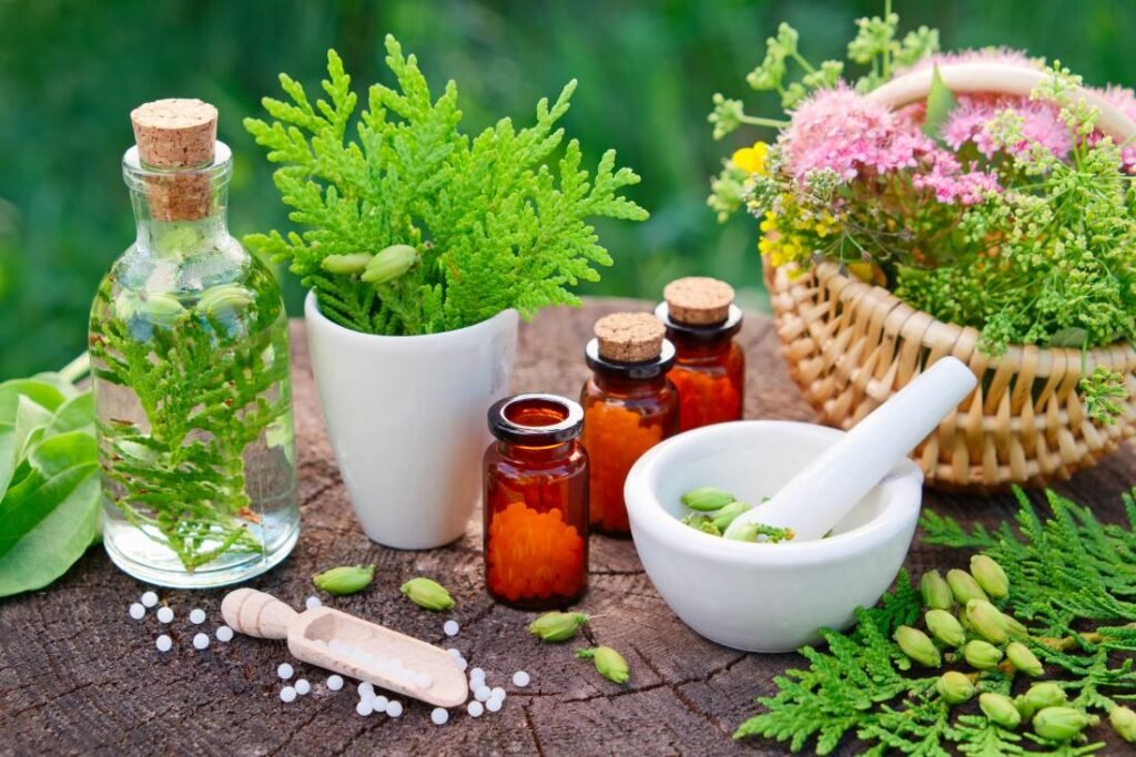 Little Mountain Homeopathy logo